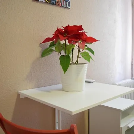 Somnio Πανσιόν Βαρκελώνη